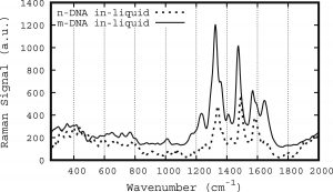 Raman spectra of native and methylated-cytosine DNA