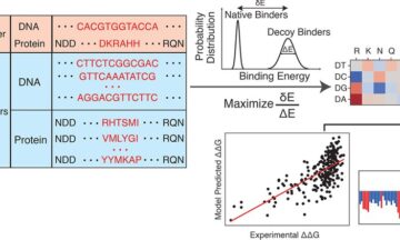 Overview of the IDEA protocol